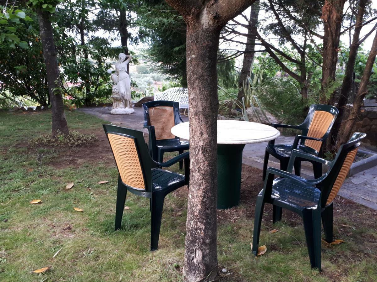 Villa Quintinha Dos Cedros Alfândega da Fé Exterior foto